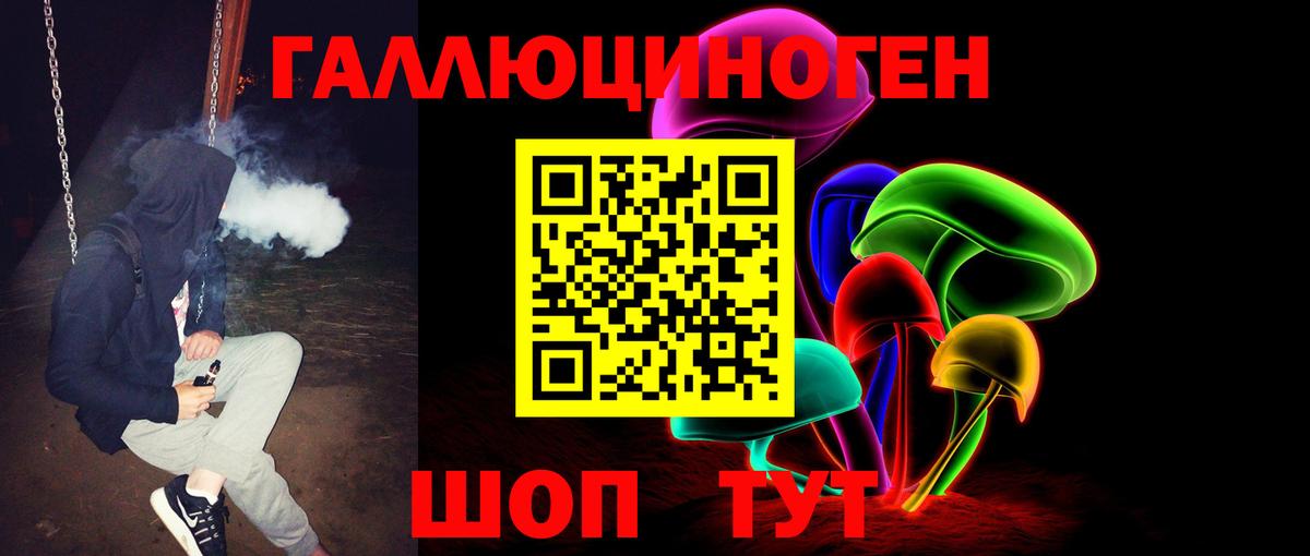 Новодвинск  Псилоцибиновые грибы Psilocybine cubensis  Вход с VPN 