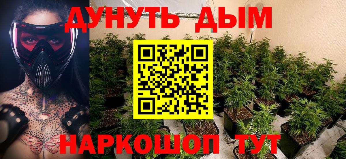 Конопля Ganja  Вход с VPN  Марихуана сатива  Конопля сатива  МАРИХУАНА план  Новодвинск 