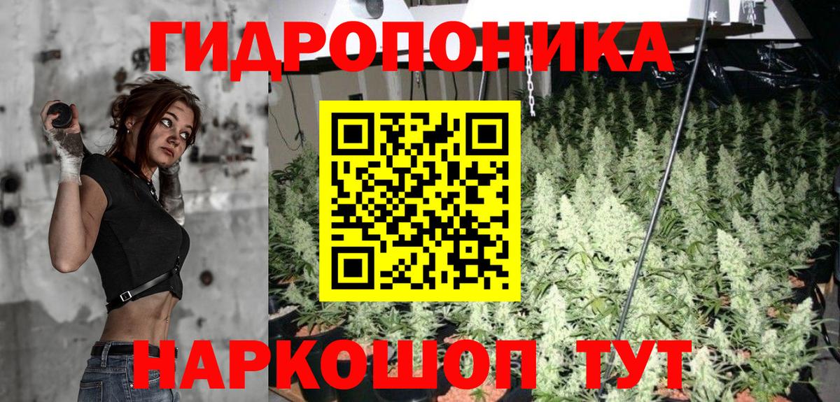 Бошки Шишки Amnesia Новодвинск